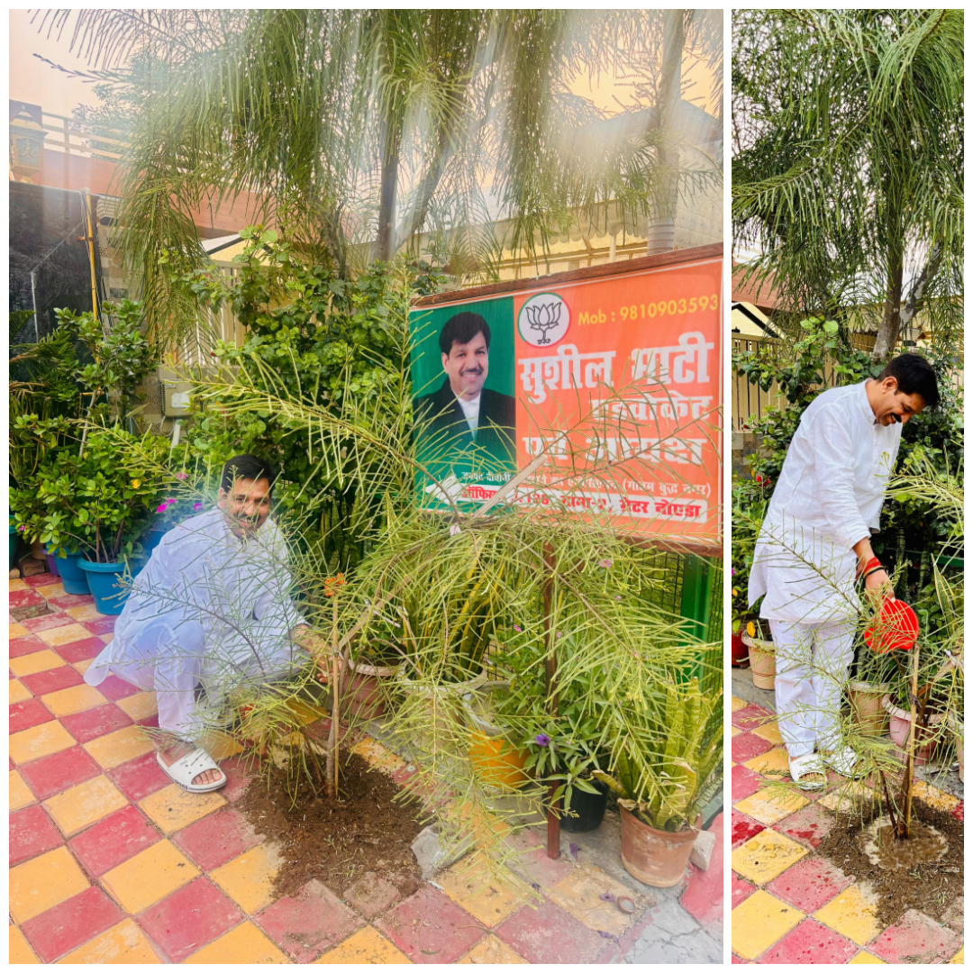 A Tree In The Name Of Mother – Celebrating Environment Day With Purpose